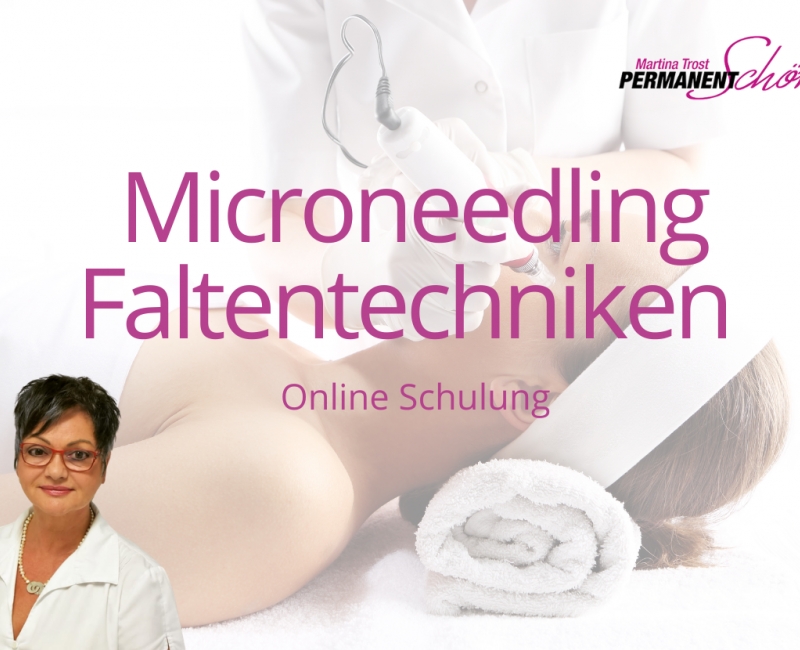 Onlinekurs Faltentechnik Microneedling by Martina Trost